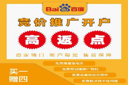 行业精英的SEM竞价经验与案例分享